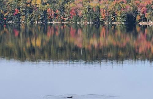 Downeast Sunset Luxury Lakehouse - Photo 23