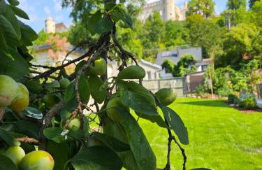 Oliwkowy Ganek - Foto 13