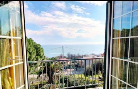 Red Squirrels - Foto 2