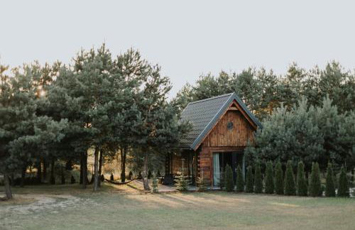 Sosnowe Domki - Photo 65