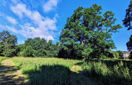 Luxury Shepherds Hut on Powis House Estate - Foto 28