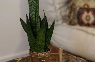 Spakoje - Ihre Wellness-Auszeit in der Pfalz mit privatem Whirlpool und Sauna - Foto 17