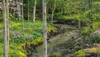 New, Spacious and charming, with a river view, conveniently located near skiing and golf - Foto 4