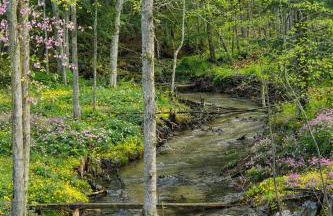 New, Spacious and charming, with a river view, conveniently located near skiing and golf - Foto 4