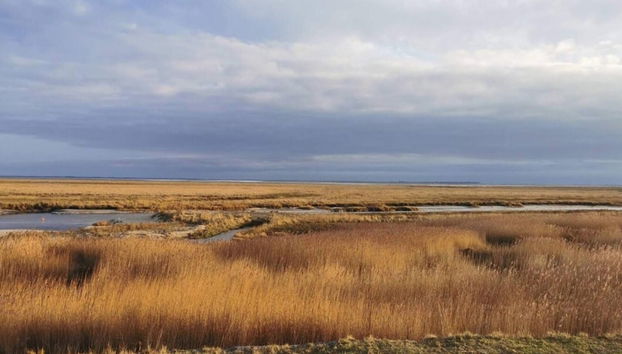 Traditional Holiday Home in Jutland near Sea - Foto 4, Miscelánea