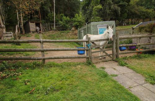 Dragonfly Lodge - Foto 28