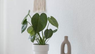 Ferienwohnung Agnes - Foto 3