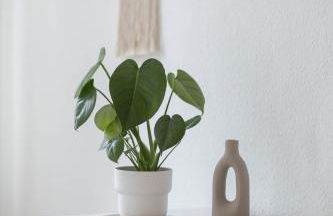 Ferienwohnung Agnes - Foto 3