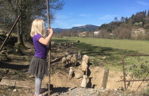 Mas Mialou - Foto 55