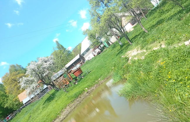 Retreat Holiday in Cozy Traditional House - Photo 51