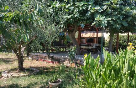 Apartments Vera Barbariga - Photo 16