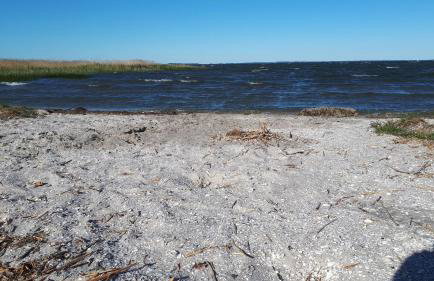 Haus Meerschilf - Foto 23