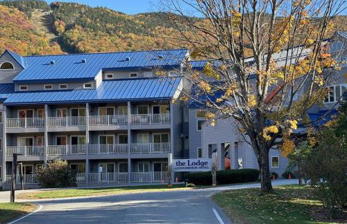 Studio Apt with stunning Mountain Views - Foto 15