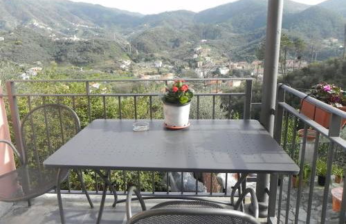 azienda agricola zulin casa elena - Foto 28