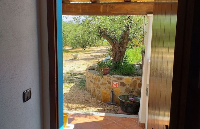 Tenuta Don Ballore - Foto 14