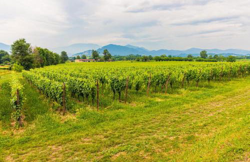 Casa Vacanza Cry - Foto 31