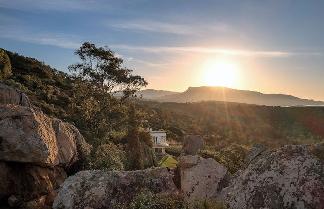 Love Garden - Photo 1