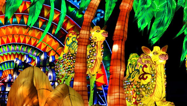Dubai Garden Glow Tickets - Photo 2, See glowing plants and animals
