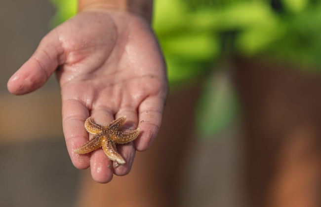 Restyled Villa With Dishwasher and Whirlpool, Near the Sea - Photo 25