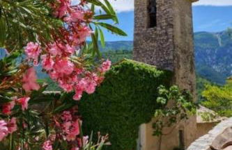 Les Dentelles du Ventoux - Gîte avec Piscine - Photo 43