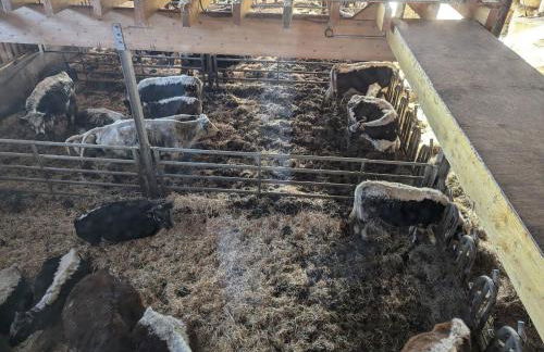 Gîte authentique à la montagne pour 10 pers. avec spa - FR-1-589-830 - Foto 19