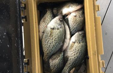 Sunset Paradise - Foto 4