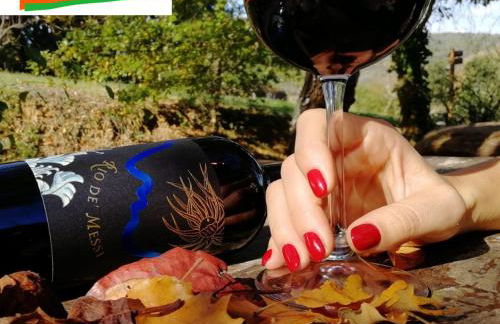 La Cerreta - Terme di Sassetta - Foto 93