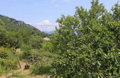 Apartments with parking space Bribir, Novi Vinodolski - 19862 - Foto 19