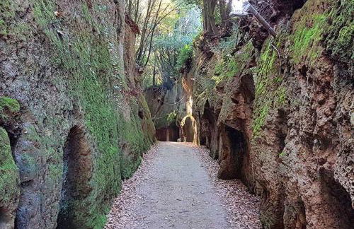 Susy's Home Appartamento in centro - Foto 24