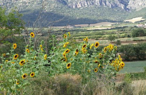 La Teulera - Foto 18