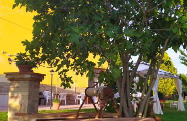 Casolare Famiglia Grande Assisi per Famiglie e Amici - Foto 59