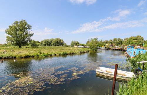 Kingfisher - Photo 38