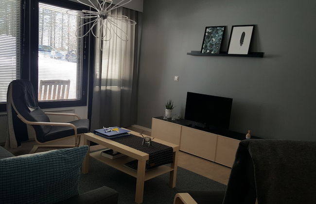 Enjoy your stay in Ranua - Foto 9