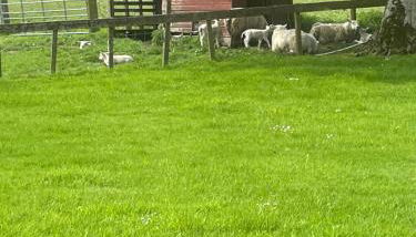 Corehouse Farm Cottages - Dairy, Granary & Sawmill - Foto 3