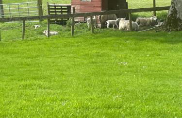 Corehouse Farm Cottages - Dairy, Granary & Sawmill - Photo 3