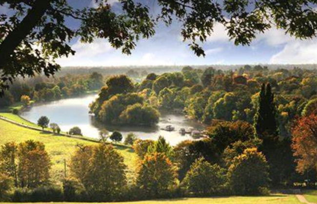 Richmond Hill Top Apartment - Foto 29