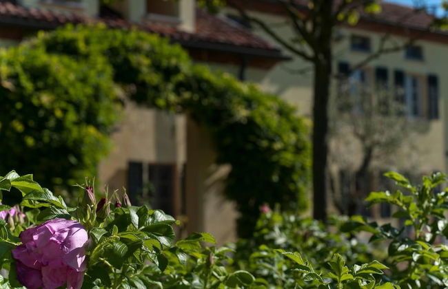 Cascina San Giorgio - Photo 54