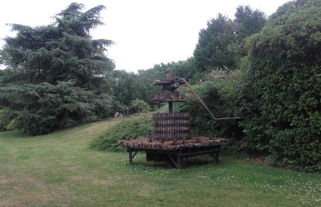 Gîte les Mésanges - Foto 18