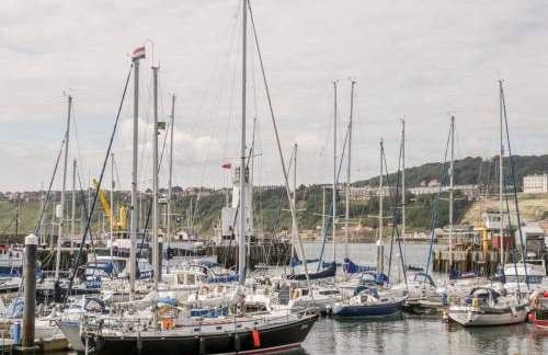 Sanderling - Foto 22