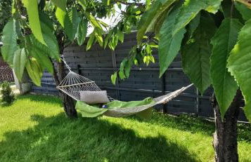 Zbychówko - Foto 20