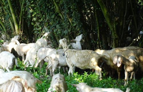 Corte Isolo - Photo 26