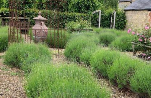 The Old Cattle Barn - Photo 21