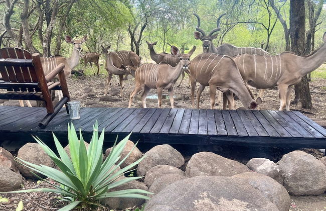 Kruger Kumba - Lahlekile Nathi - Photo 62