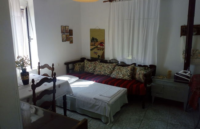 Garden Of Olive Trees - Photo 14