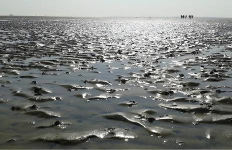 Ferienwohnungen Felix und Jan - Foto 29