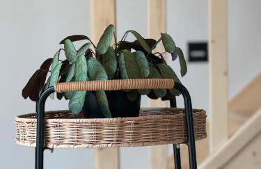 Sielskie Chatki - domki Twardorzeczka Lipowa - Foto 2