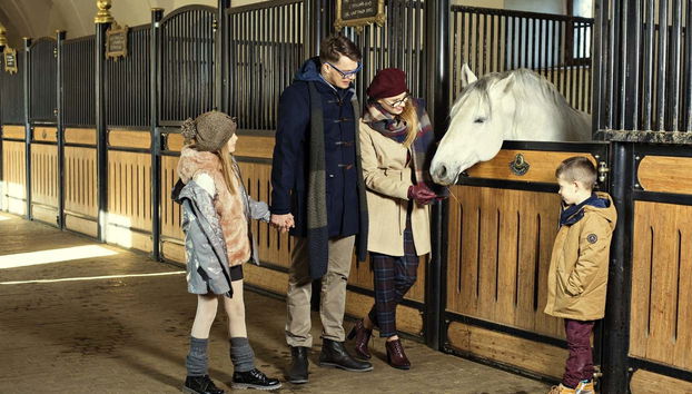 Visiting the Lipica stud farm