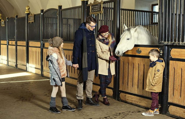 Excursion à Lipica et aux grottes de Skocjan - Photo 2