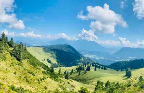 Casa Natur Pur, 85m2 mit Garten Sauna - Foto 48