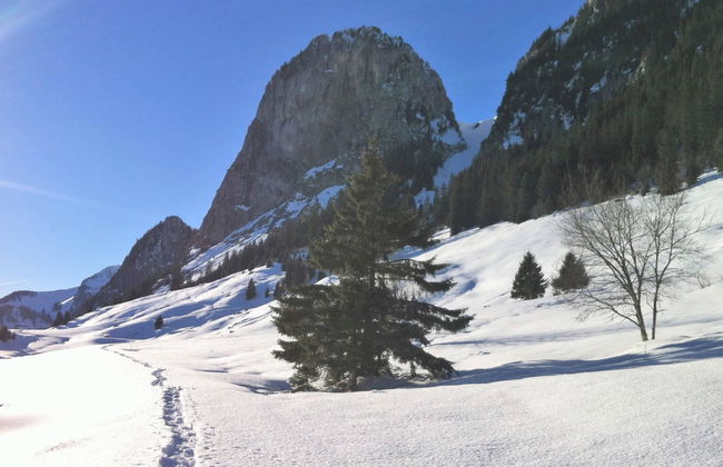 Adlemsried - Foto 15